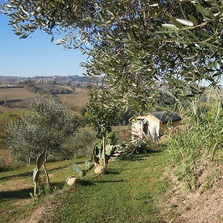 La Luna Nell'Orto-Casa Vacanza Ecologica E Agricoltura Biodinamica Barchi 외부 사진