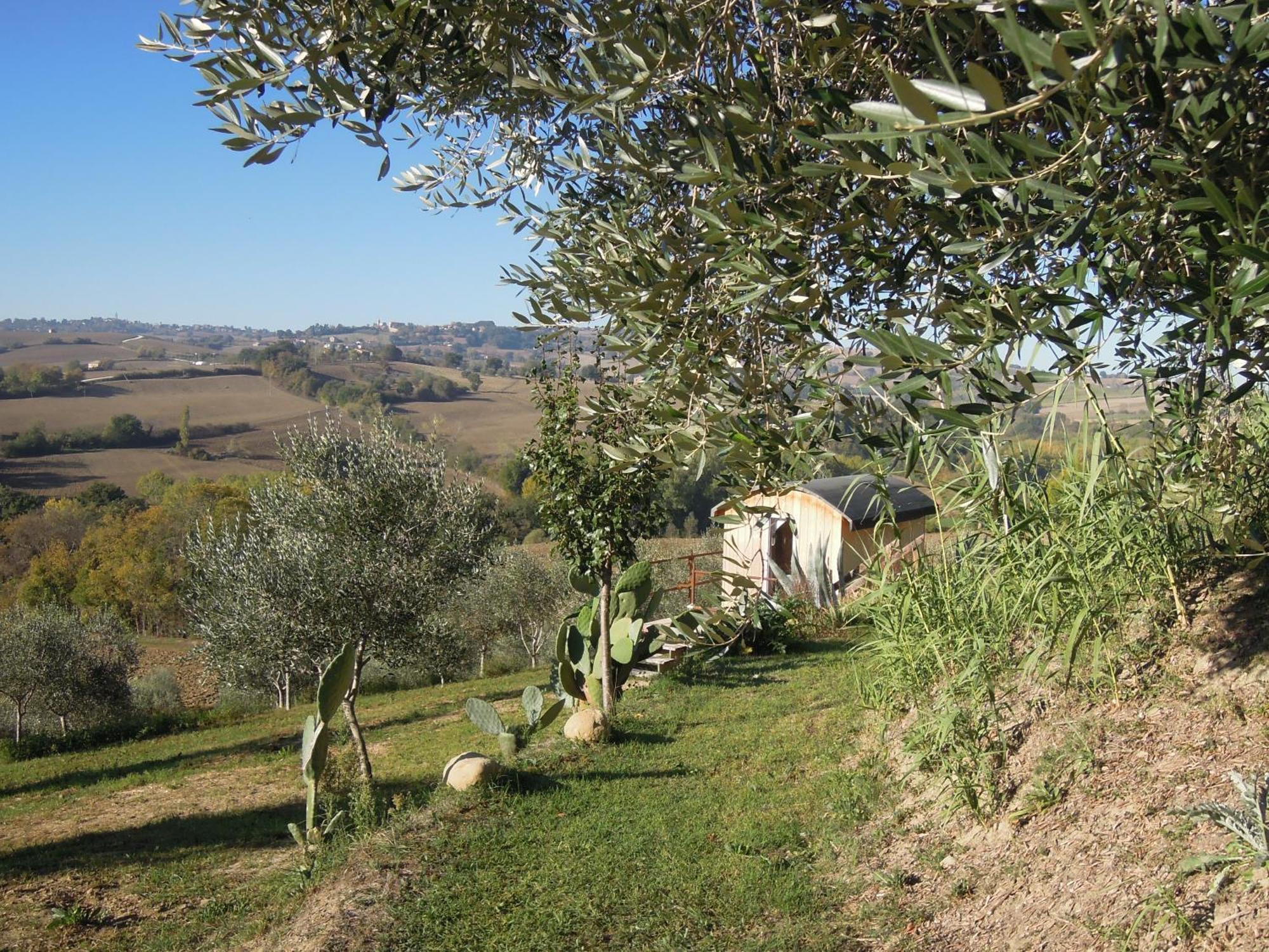 La Luna Nell'Orto-Casa Vacanza Ecologica E Agricoltura Biodinamica Barchi 외부 사진